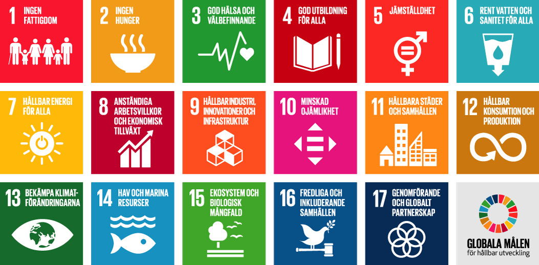 Agenda 2030 och FN:s globala mål